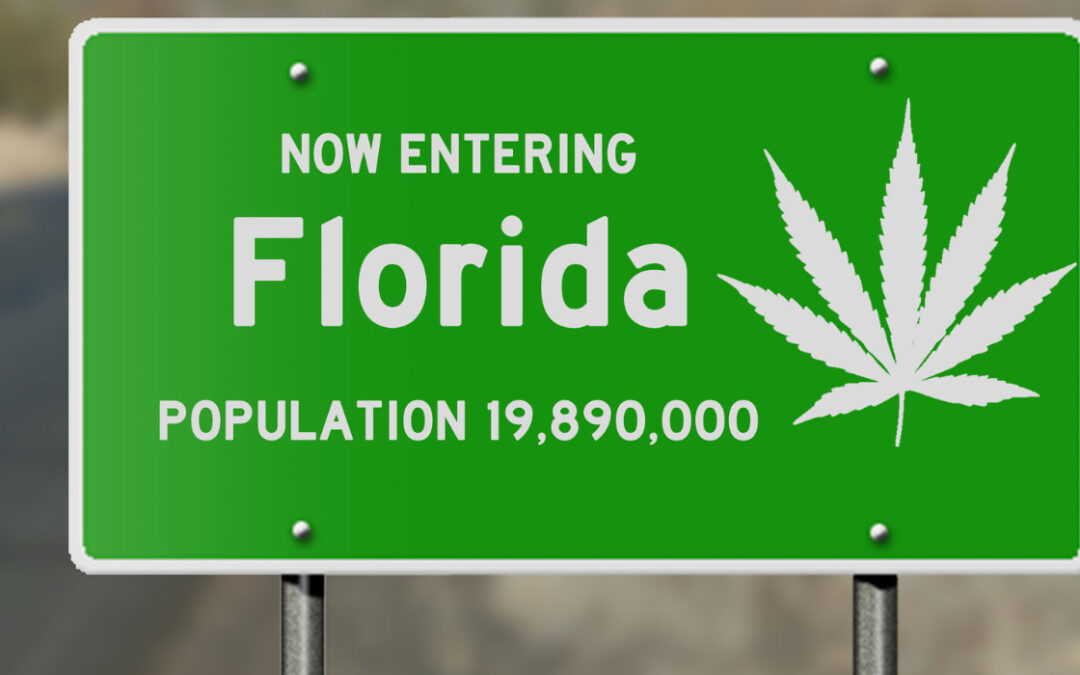 FLORIDA CANNABIS LAWS UPDATE