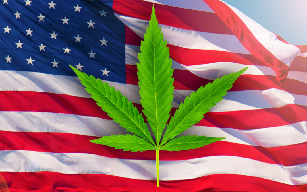 FDA CONSIDERS RESCHEDULING MARIJUANA: A MILESTONE IN DRUG POLICY REFORM